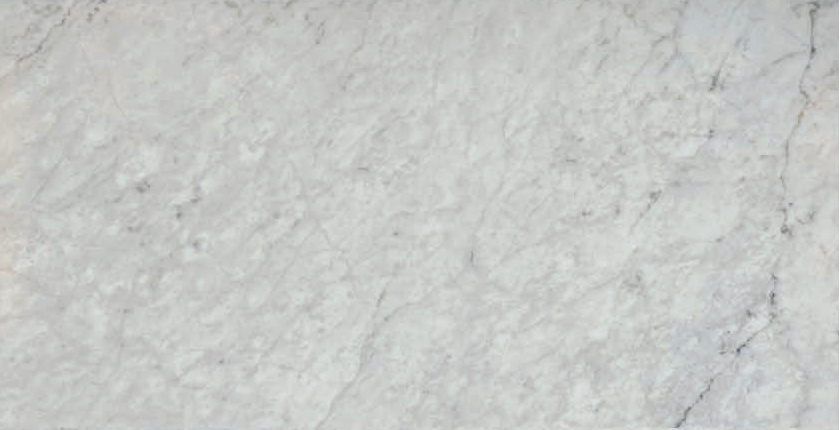 Carrara tile style